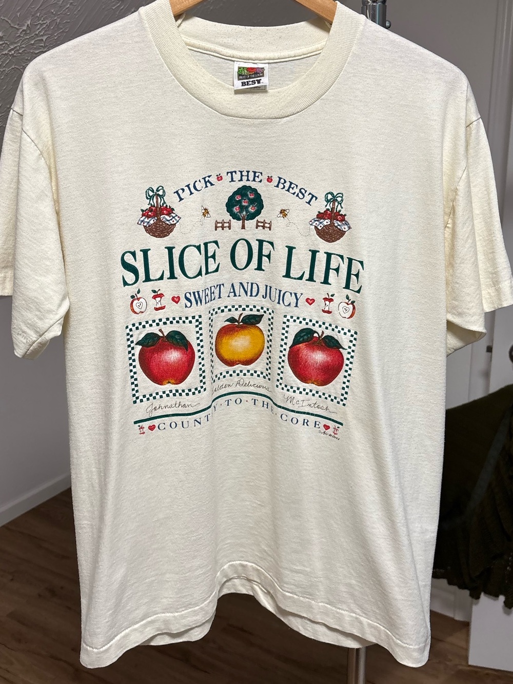 Vintage teacher core "Slice of Life" apple, cottagecore tee. Size large